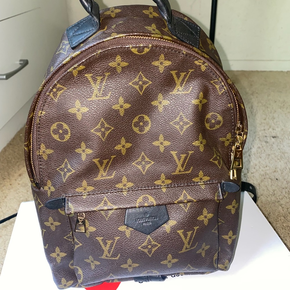 Louis Vuitton Mini Palm Springs